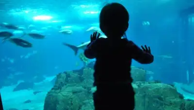 Biostar, фото - Новости Zakon.kz от 07.08.2018 13:20