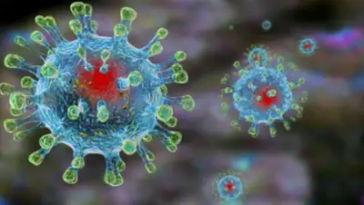 24tv.ua, фото - Новости Zakon.kz от 12.05.2020 15:44