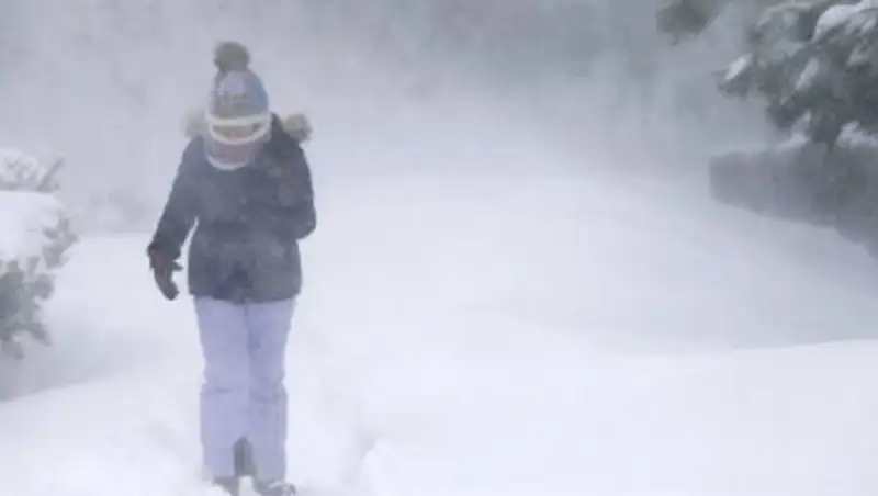 Метель, туман, гололед: какой будет погода 8 февраля?