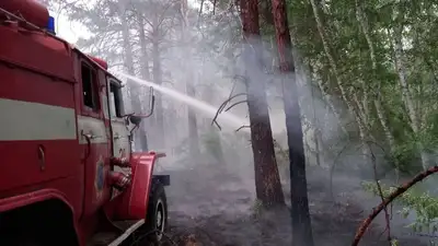 пожар в Абайской области, фото - Новости Zakon.kz от 10.06.2023 14:43