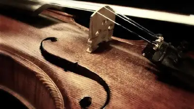 Париж скрипка, фото - Новости Zakon.kz от 16.04.2022 07:52