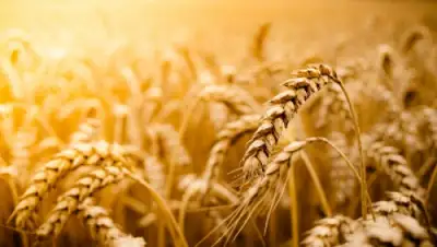 Zakon.kz, фото - Новости Zakon.kz от 23.06.2015 13:24