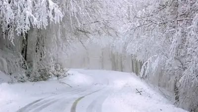 Погода Казахстан , фото - Новости Zakon.kz от 30.01.2022 06:45