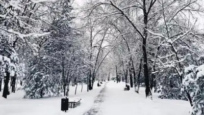Zakon.kz, фото - Новости Zakon.kz от 24.01.2017 16:52