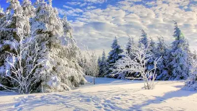 рк, погода, прогноз, казгидромет, фото - Новости Zakon.kz от 20.01.2022 15:53