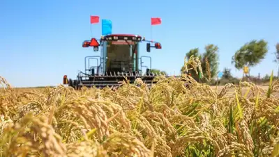 техника, фото - Новости Zakon.kz от 20.08.2022 18:24