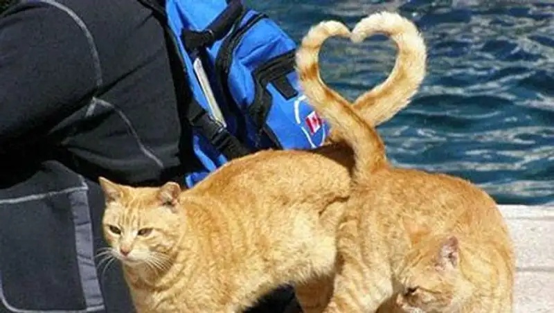 Кадры, заснятые в нужный момент