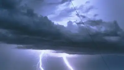 ShutterStock, фото - Новости Zakon.kz от 26.08.2020 10:50