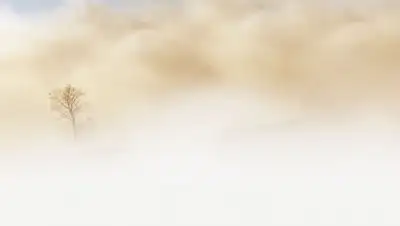 Pixabay, фото - Новости Zakon.kz от 15.12.2019 15:48