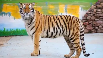 Zakon.kz, фото - Новости Zakon.kz от 23.08.2016 20:36