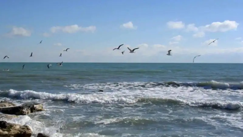 Баку предлагает открыть постоянный Секретариат Конвенции по защите морской среды Каспия