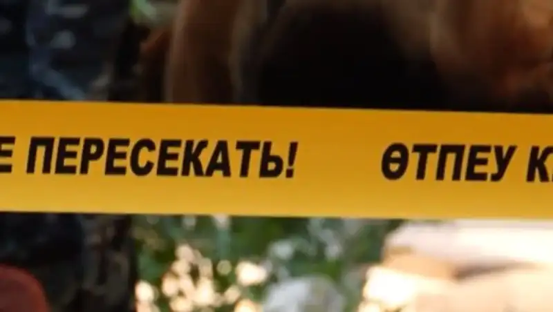 Пропавший в Астане грузин - муж известного психолога найден мертвым