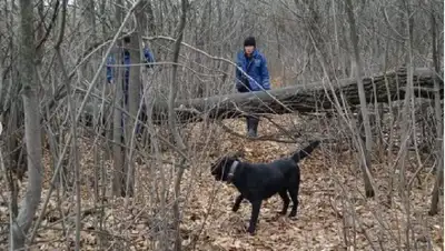 Вертолет подняли на поиски пенсионера в Уральске, фото - Новости Zakon.kz от 16.11.2022 04:48
