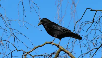 приметы на день Филиппа, фото - Новости Zakon.kz от 24.10.2022 08:46