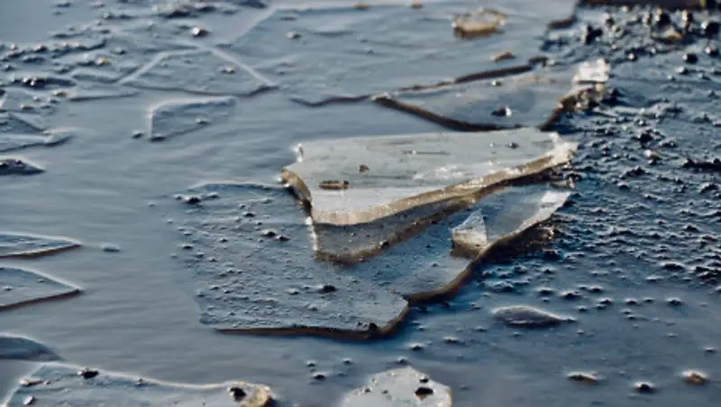 Детали гибели детей рассказали в полиции Алматы