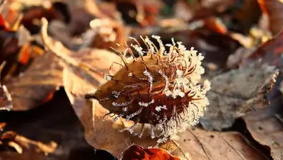 осень, фото - Новости Zakon.kz от 19.09.2022 20:21