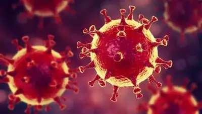 pixabay.com, фото - Новости Zakon.kz от 21.10.2020 09:43