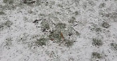 Zakon.kz, фото - Новости Zakon.kz от 02.04.2015 16:28