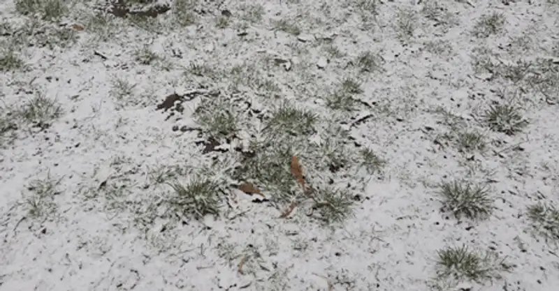 Зима по-прежнему не покидает многие казахстанские регионы