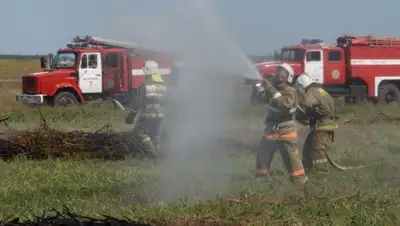 Zakon.kz, фото - Новости Zakon.kz от 30.05.2017 19:26