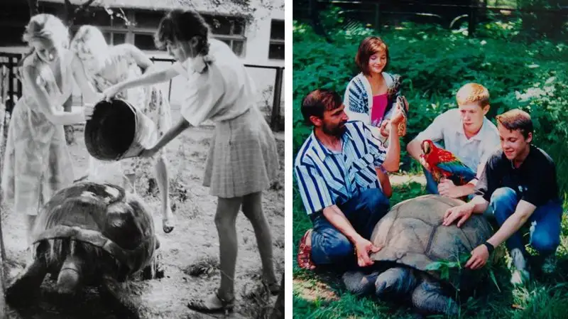 черепаха зоопарк Алматы, фото - Новости Zakon.kz от 27.02.2023 15:25