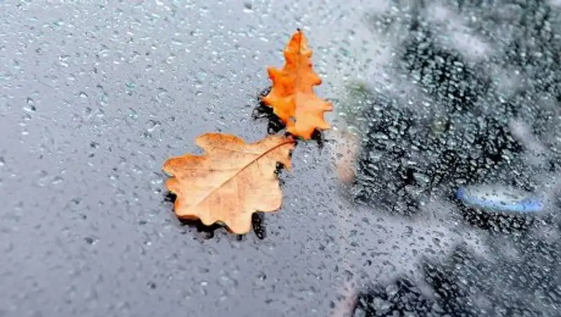 Во многих регионах Казахстана синоптики обещают дожди