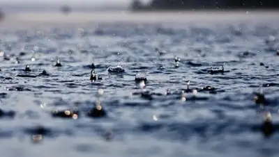 Вслух.ру, фото - Новости Zakon.kz от 24.05.2018 09:32