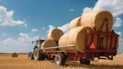 Zakon.kz, фото - Новости Zakon.kz от 14.09.2016 01:47