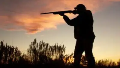 Zakon.kz, фото - Новости Zakon.kz от 20.03.2017 00:35