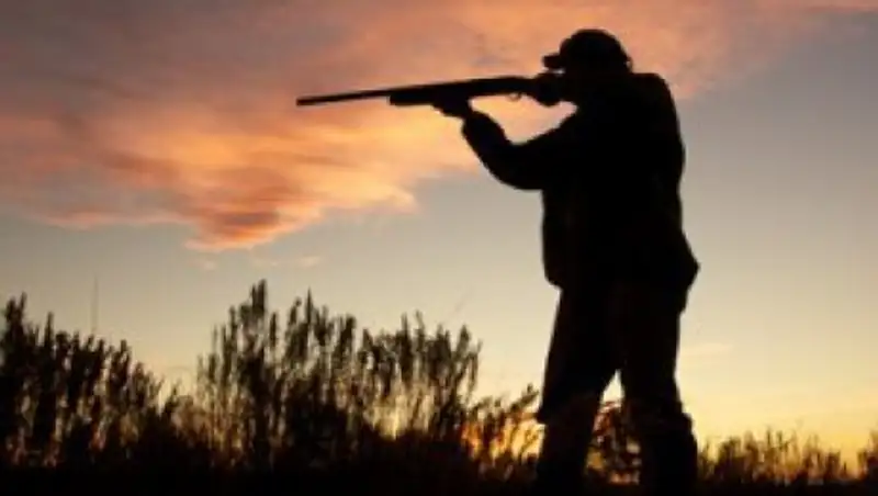 Восемь человек задержали за незаконную охоту в заповеднике в Акмолинской области