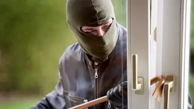 Twipu, фото - Новости Zakon.kz от 19.04.2019 02:01