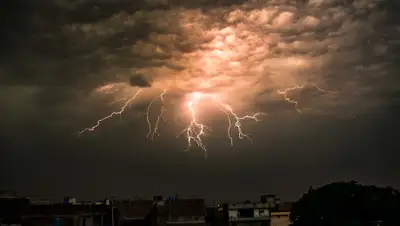 express-k.kz, фото - Новости Zakon.kz от 25.04.2020 14:42