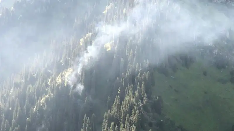 В горах Алматы загорелся сухостой, огонь тушат с помощью вертолетов