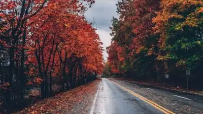 pxhere.com, фото - Новости Zakon.kz от 04.10.2021 16:02