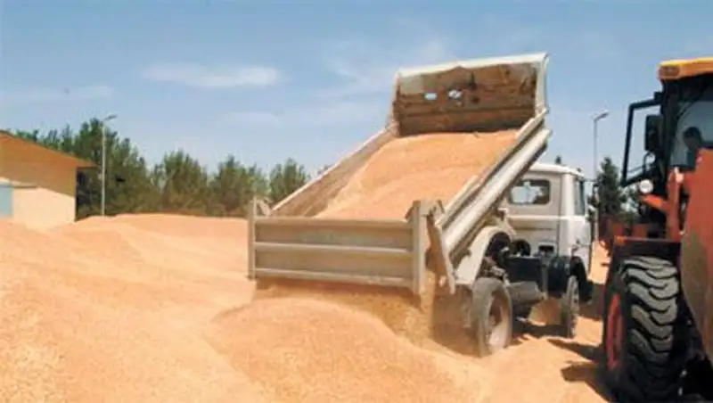 Продкорпорация в 2014г утроит поставки казахстанского зерна в Китай – до 30 тыс тонн