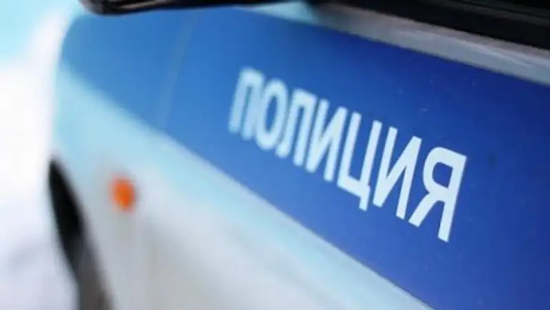 В Усть-Каменогорске несовершеннолетнюю силой заталкивали в полицейскую машину