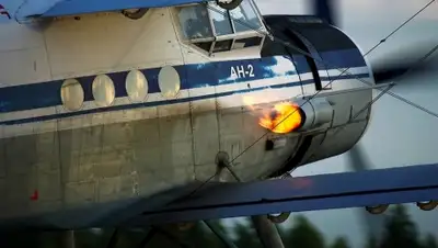 Zakon.kz, фото - Новости Zakon.kz от 21.01.2015 21:11