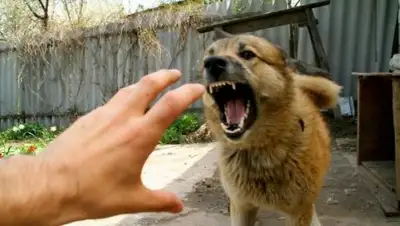 Zakon.kz, фото - Новости Zakon.kz от 30.10.2017 16:37