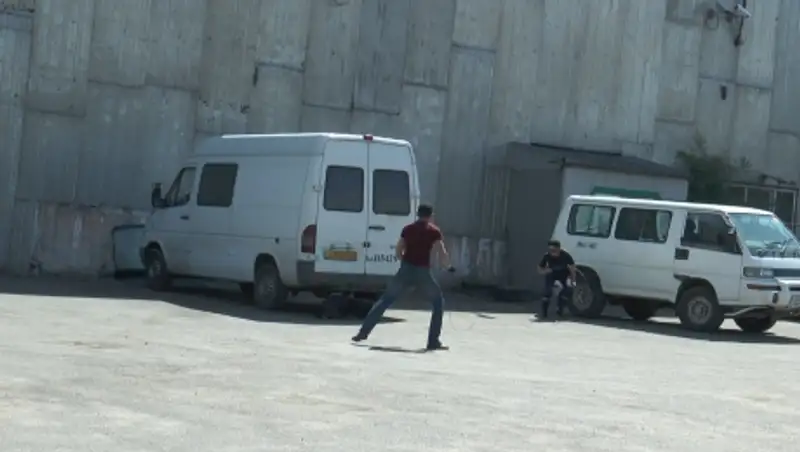 Отработки по бездомным и беспризорным собакам проходят в Алматы