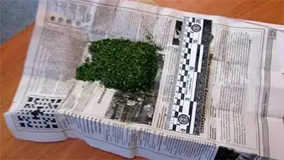 Zakon.kz, фото - Новости Zakon.kz от 19.03.2014 21:52