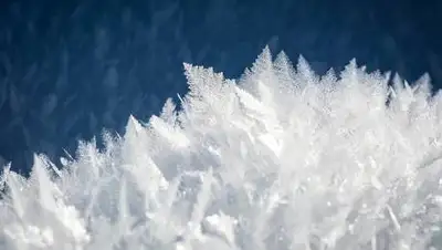 Pixabay, фото - Новости Zakon.kz от 09.01.2021 19:58