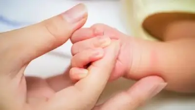 Zakon.kz, фото - Новости Zakon.kz от 08.10.2017 06:28