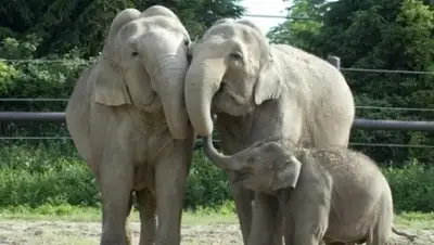 Zakon.kz, фото - Новости Zakon.kz от 14.09.2015 03:36