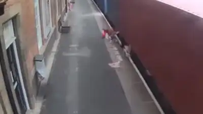 Zakon.kz, фото - Новости Zakon.kz от 11.10.2017 10:01