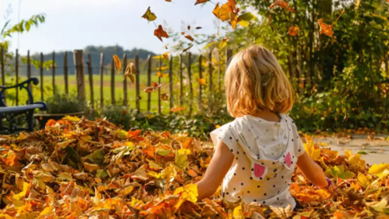 Прогноз погоды в Казахстане на 1 сентября