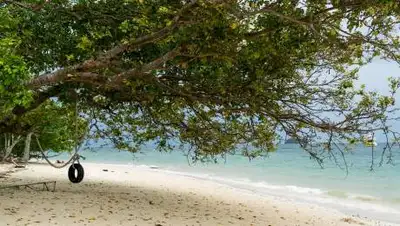 pixabay.com, фото - Новости Zakon.kz от 26.03.2021 13:58