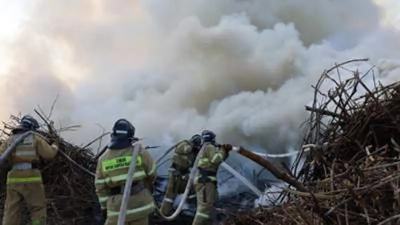 , фото - Новости Zakon.kz от 19.06.2023 18:10