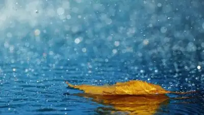 из открытых источников, фото - Новости Zakon.kz от 12.10.2018 12:17