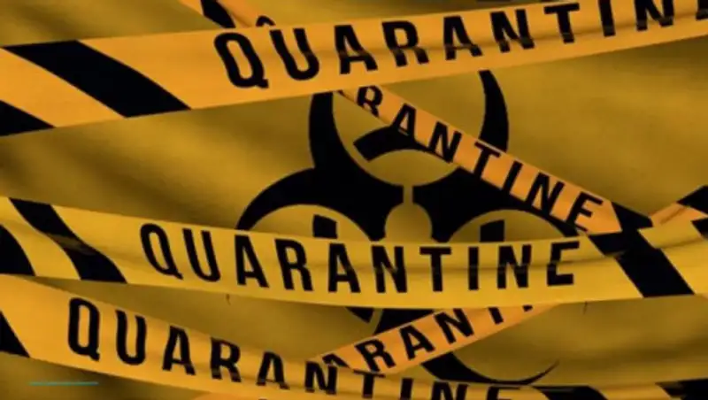 При каком условии в Казахстане снова введут жесткий карантин