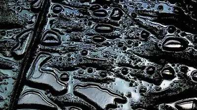 Нефтесодержащее пятно образовалось на крупнейшем водохранилище Казахстана , фото - Новости Zakon.kz от 08.06.2023 03:21